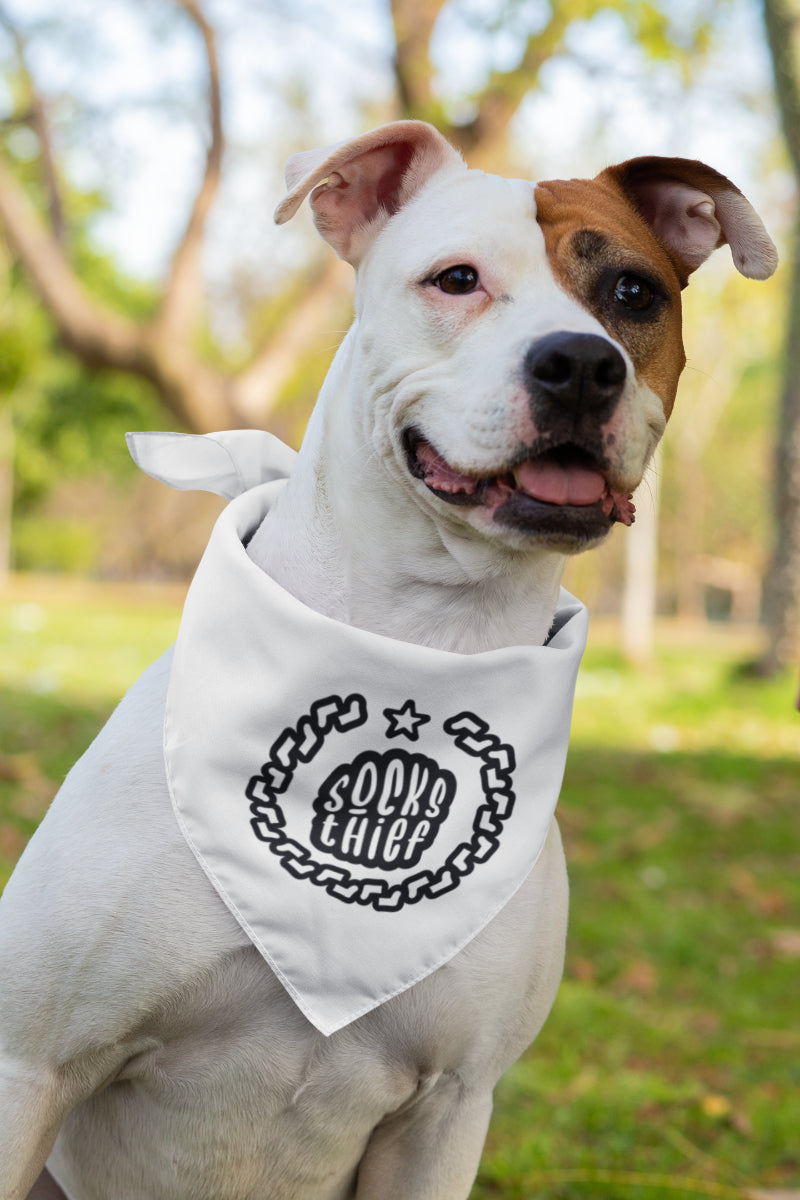 Socks Thief Dog Bandana
