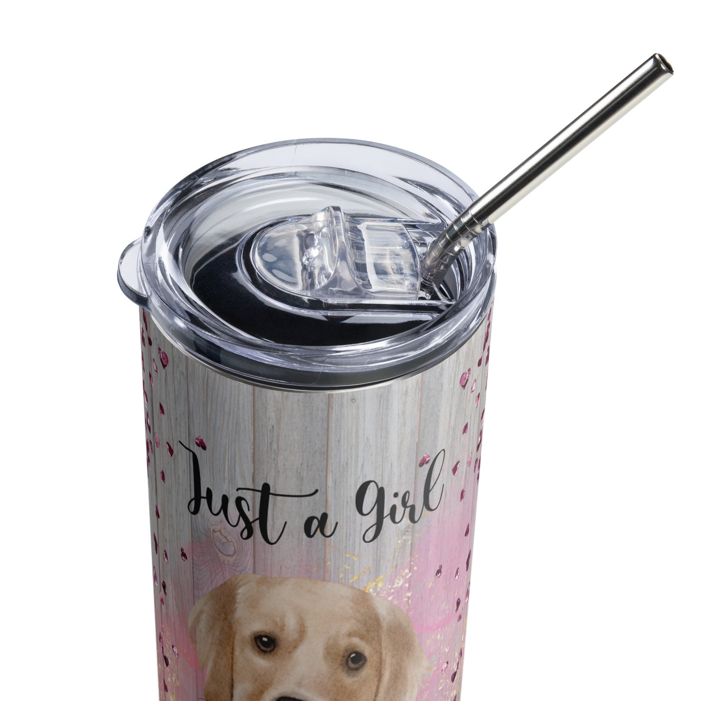 Just a Girl Who Loves Dogs Stainless steel Tumbler