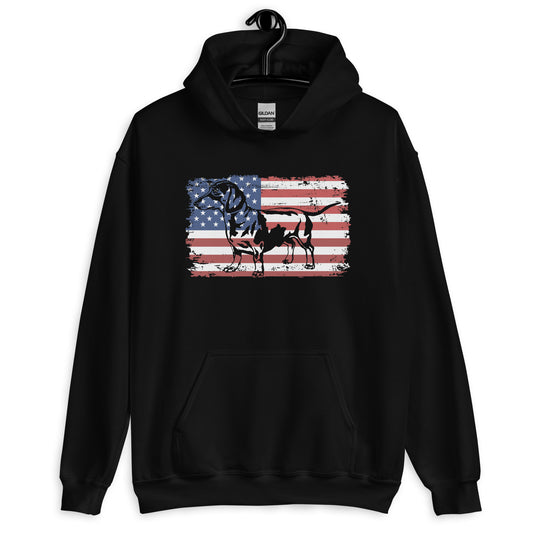 Dachshund American Flag Hoodie