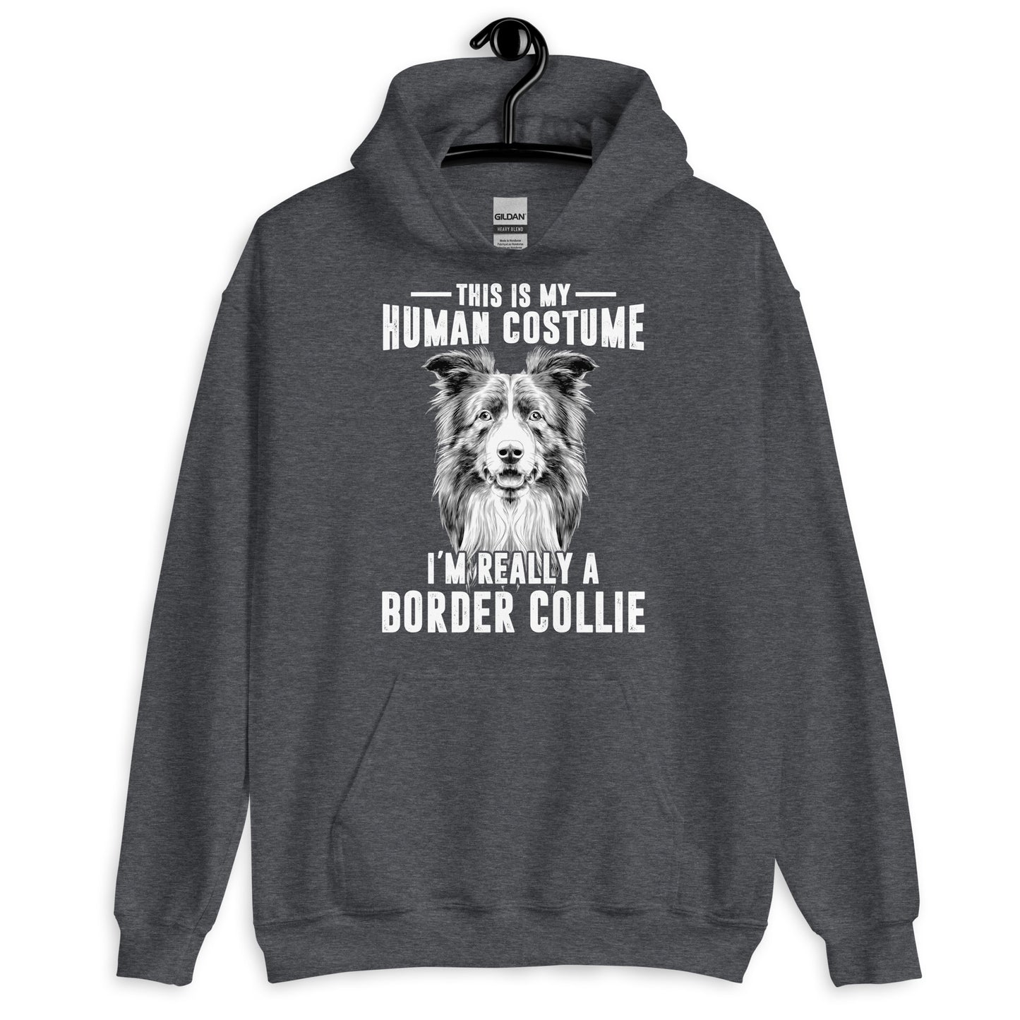 I'm really a Border Collie Hoodie