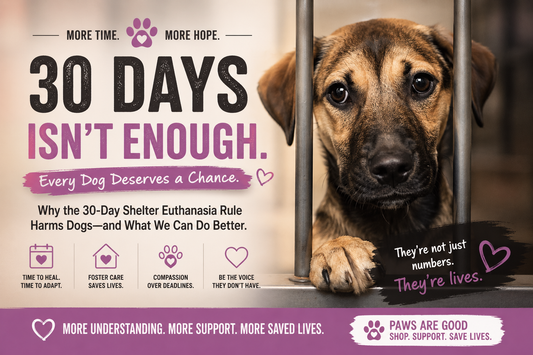 Why a 30-Day Shelter Euthanasia Rule Harms Dogs