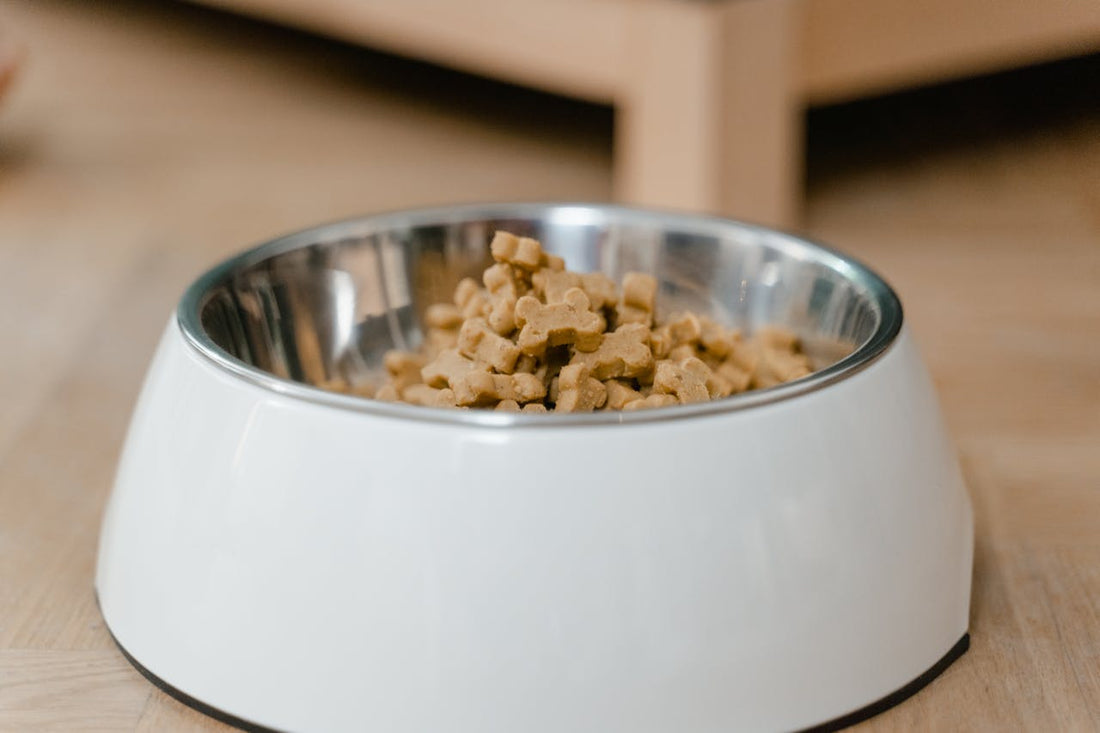 Top 10 Grain-Free Dog Foods for Sensitive Stomachs