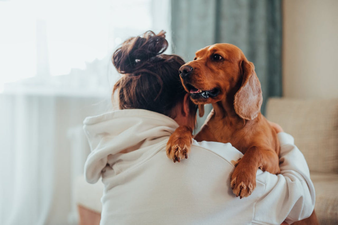 How Dogs Heal Humans in Ways Science Can’t Measure
