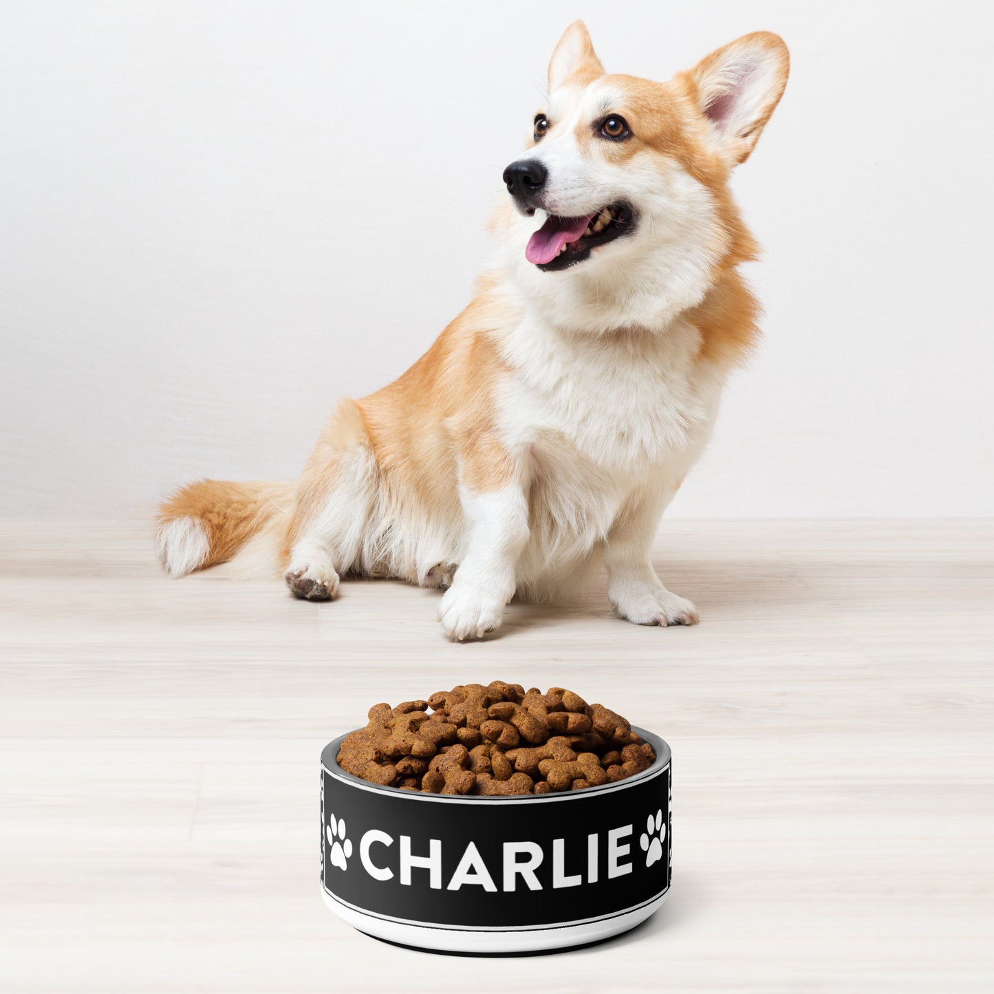 Charlie Name Stainless Steel Non Slip 18 oz or 32 oz Dog Bowl